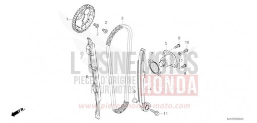 CAM CHAIN/TENSIONER CRF450RR de 2024